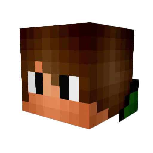 Willie08 Minecraft avatar head, 3D render