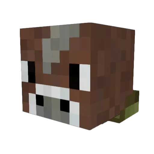 Willie_Aarbei Minecraft avatar head, 3D render
