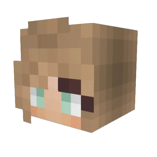 Willio07 Minecraft avatar head, 3D render