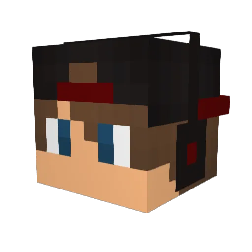 Willio101 Minecraft avatar head, 3D render