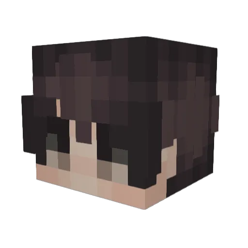 WilliqmAfton Minecraft avatar head, 3D render