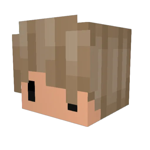 Willj626 Minecraft avatar head, 3D render