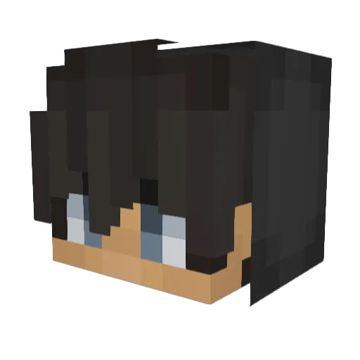 Willjayyy Minecraft avatar head, 3D render