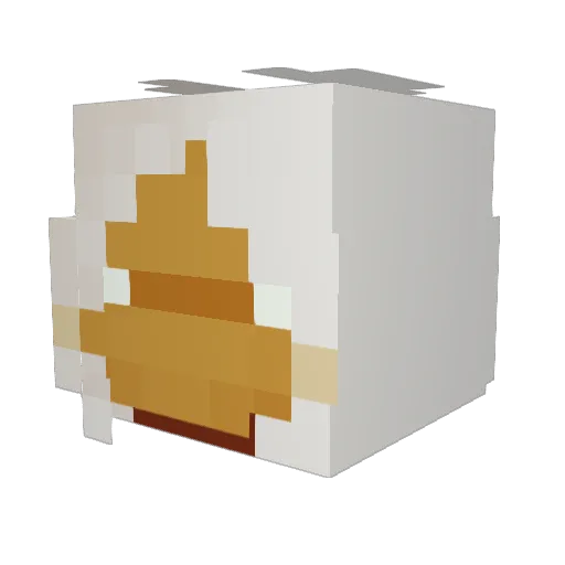WilloBird42 Minecraft avatar head, 3D render