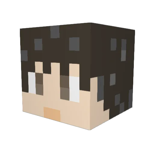 Willou54000 Minecraft avatar head, 3D render