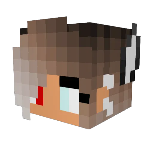 Willow0505 Minecraft avatar head, 3D render