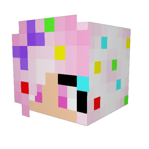 Willow2k6 Minecraft avatar head, 3D render