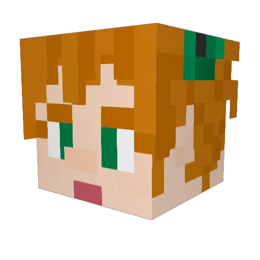 Willow321Go Minecraft avatar head, 3D render