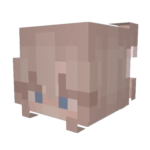 Willow37 Minecraft avatar head, 3D render