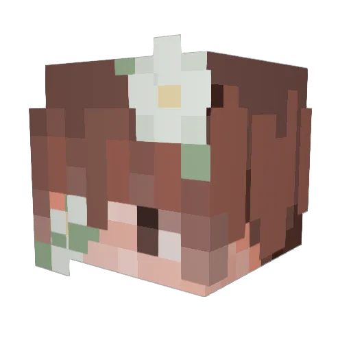 Willow520 Minecraft avatar head, 3D render
