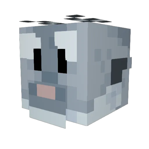 WillowCross Minecraft avatar head, 3D render