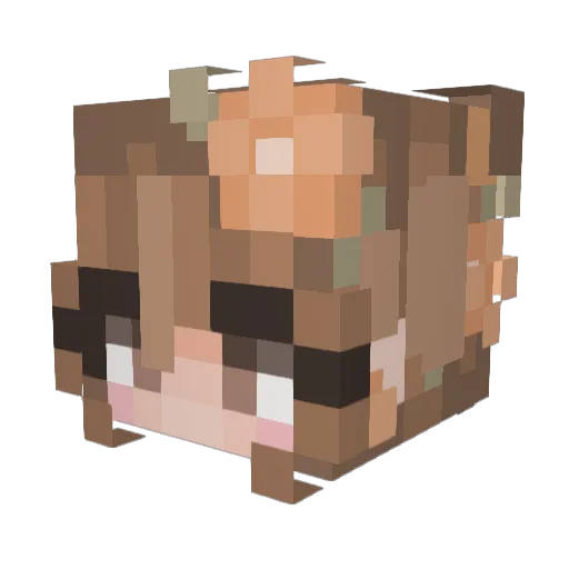 WillowFan1 Minecraft avatar head, 3D render
