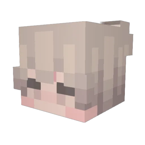 WillowFox23 Minecraft avatar head, 3D render