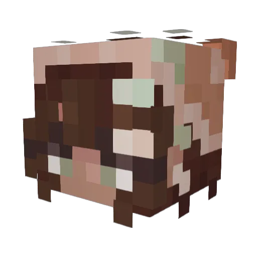 WillowIsBrave Minecraft avatar head, 3D render