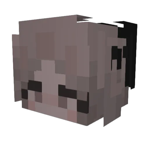 WillowTree333 Minecraft avatar head, 3D render