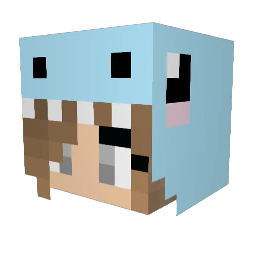 WillowTreeSD Minecraft avatar head, 3D render