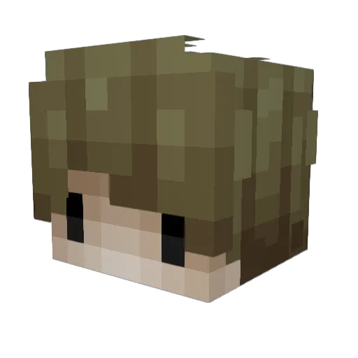 Willow_Fuzion Minecraft avatar head, 3D render