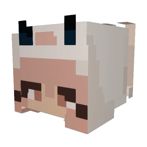 Willow_Husk Minecraft avatar head, 3D render