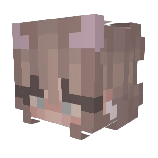 Willow_Nightfall Minecraft avatar head, 3D render