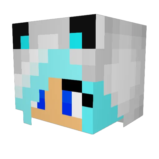 Willow_Torva Minecraft avatar head, 3D render