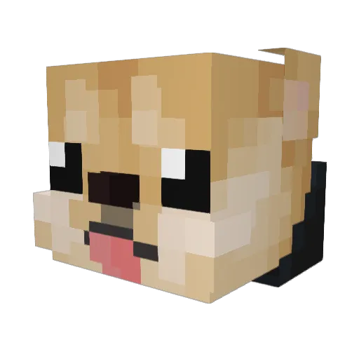 Willow_tree90 Minecraft avatar head, 3D render
