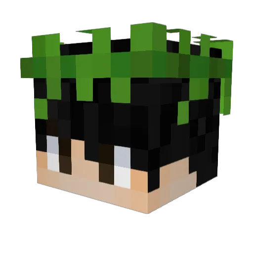WillowedJ Minecraft avatar head, 3D render
