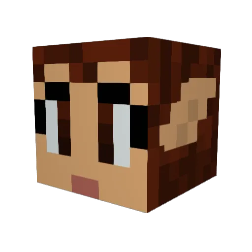 Willowind Minecraft avatar head, 3D render