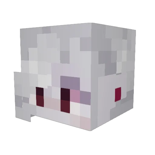 Willowothesilly Minecraft avatar head, 3D render