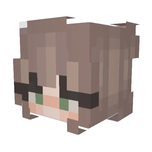 Willowprof Minecraft avatar head, 3D render
