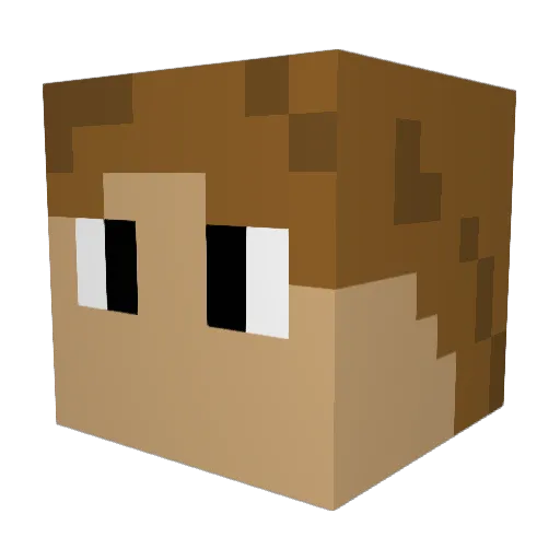 Willowstorm20 Minecraft avatar head, 3D render