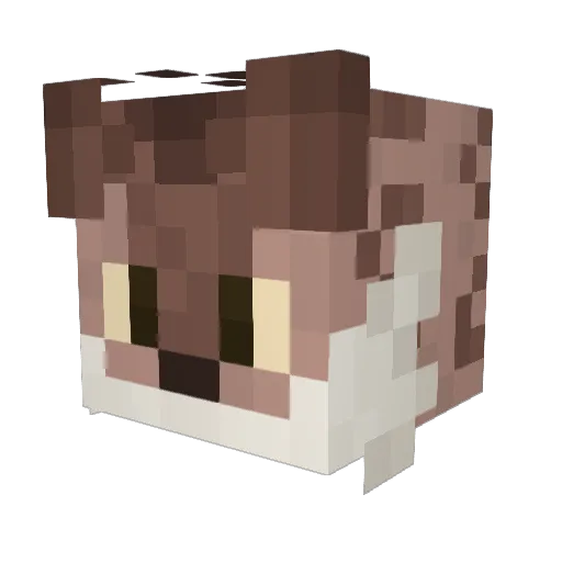 WillowyDrop Minecraft avatar head, 3D render