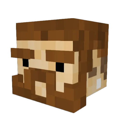 Willpick533 Minecraft avatar head, 3D render