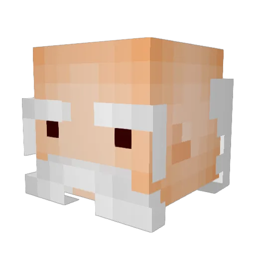 Willson303 Minecraft avatar head, 3D render