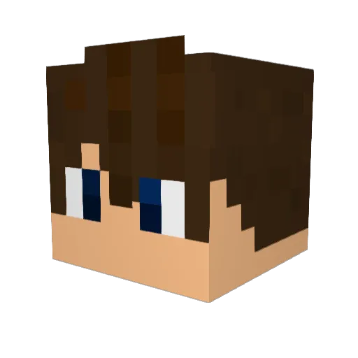 WillsonD Minecraft avatar head, 3D render