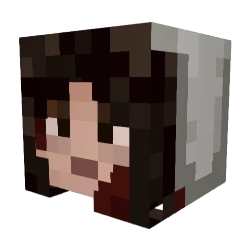 Willtheshyguy Minecraft avatar head, 3D render