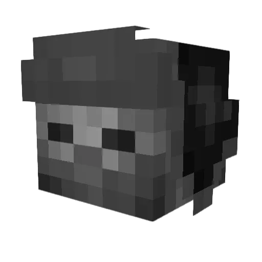 Willtoro11 Minecraft avatar head, 3D render