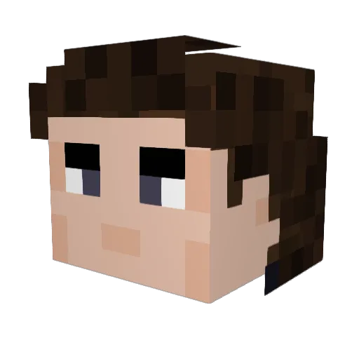 Willtron3 Minecraft avatar head, 3D render