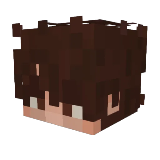 Willusion Minecraft avatar head, 3D render
