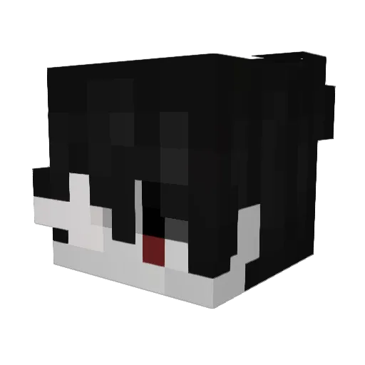 Willxs_ Minecraft avatar head, 3D render