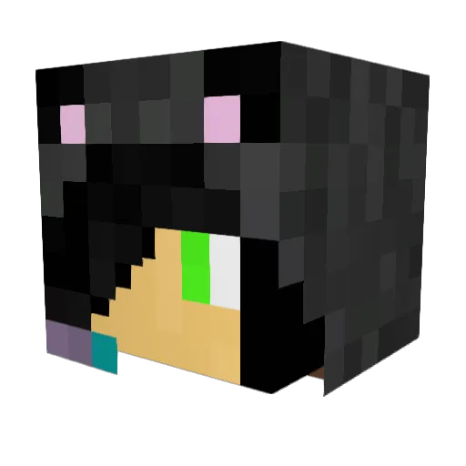 Willy1989 Minecraft avatar head, 3D render