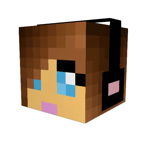 Willy2013 Minecraft avatar head, 3D render