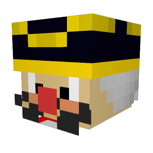Willy2401 Minecraft avatar head, 3D render