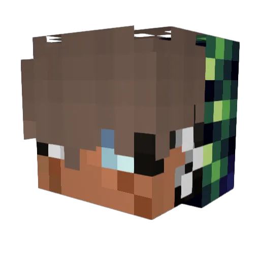 WillyBremo Minecraft avatar head, 3D render