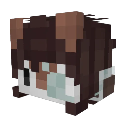 WillyNoob123 Minecraft avatar head, 3D render