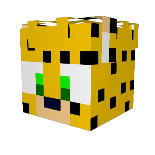 WillyWacka Minecraft avatar head, 3D render