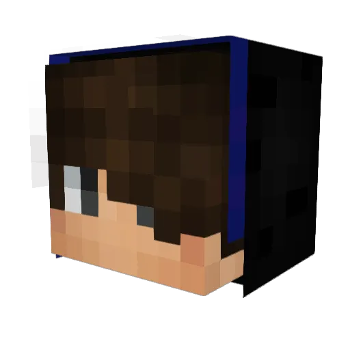WillyWacker69 Minecraft avatar head, 3D render