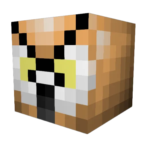 WillyWallace8 Minecraft avatar head, 3D render