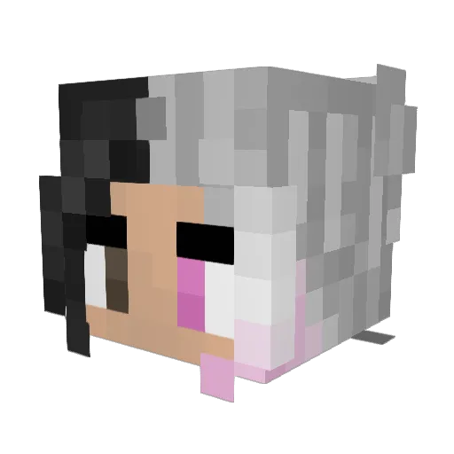WillyWhippet Minecraft avatar head, 3D render