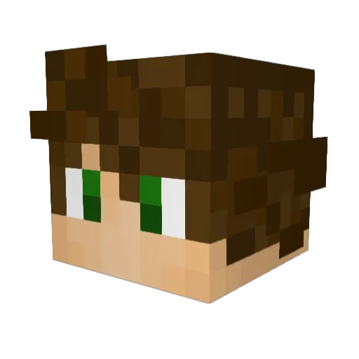 WillyWnk Minecraft avatar head, 3D render