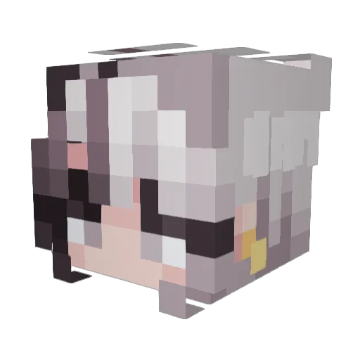 WillyWonka666 Minecraft avatar head, 3D render